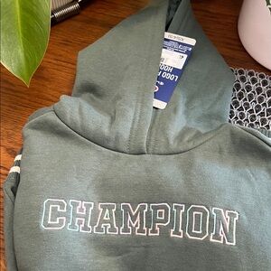 Champion Olive Green Embroidered Logo Hoodie
